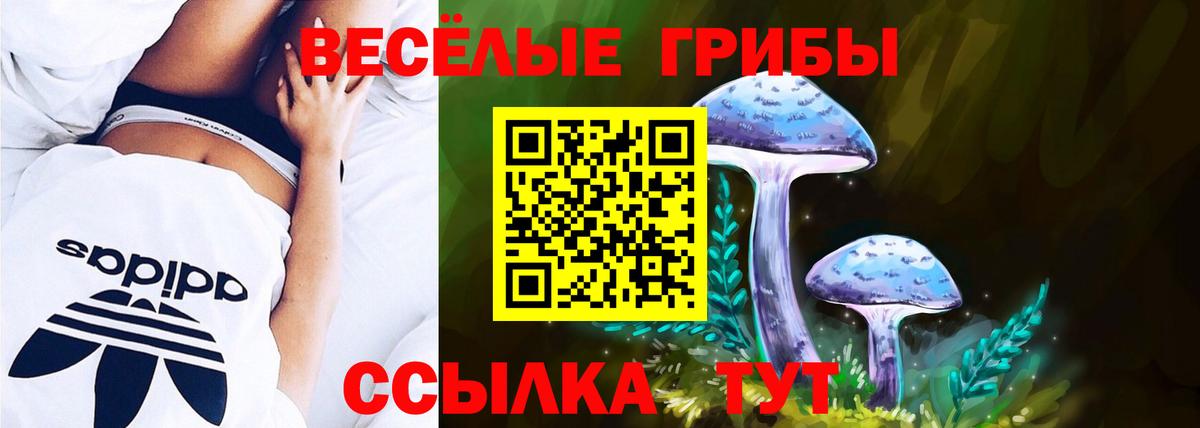 Галлюциногенные грибы Cubensis Калуга